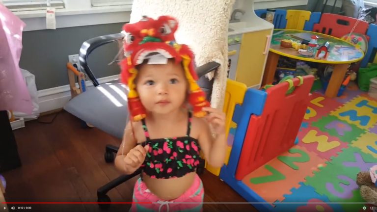Chinese Lion Dancer