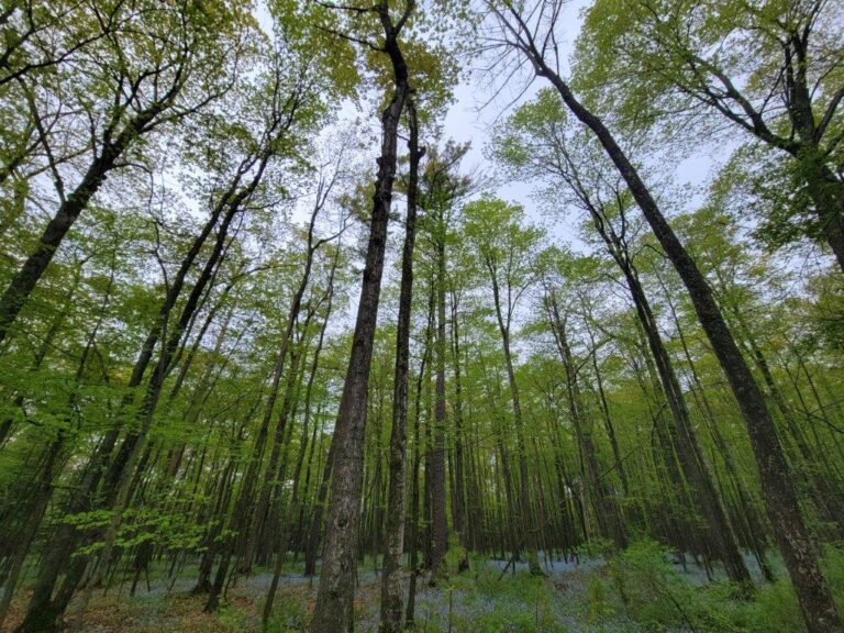Door County: Peninsula State Park